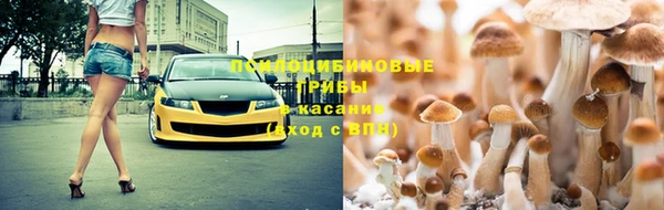 ГАЛЛЮЦИНОГЕННЫЕ ГРИБЫ Богданович