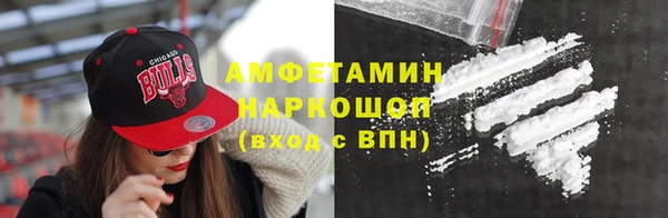 шишки Бородино