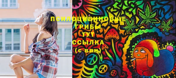 ГАЛЛЮЦИНОГЕННЫЕ ГРИБЫ Богданович
