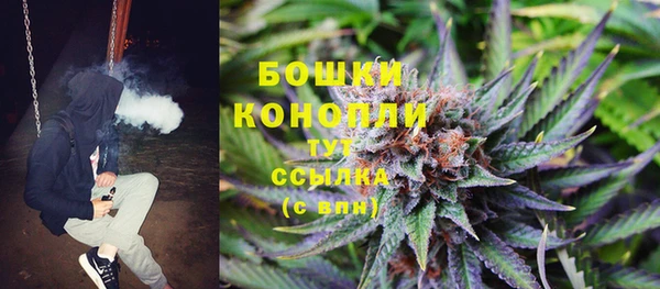 ГАЛЛЮЦИНОГЕННЫЕ ГРИБЫ Богданович