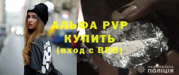 ГАЛЛЮЦИНОГЕННЫЕ ГРИБЫ Богданович